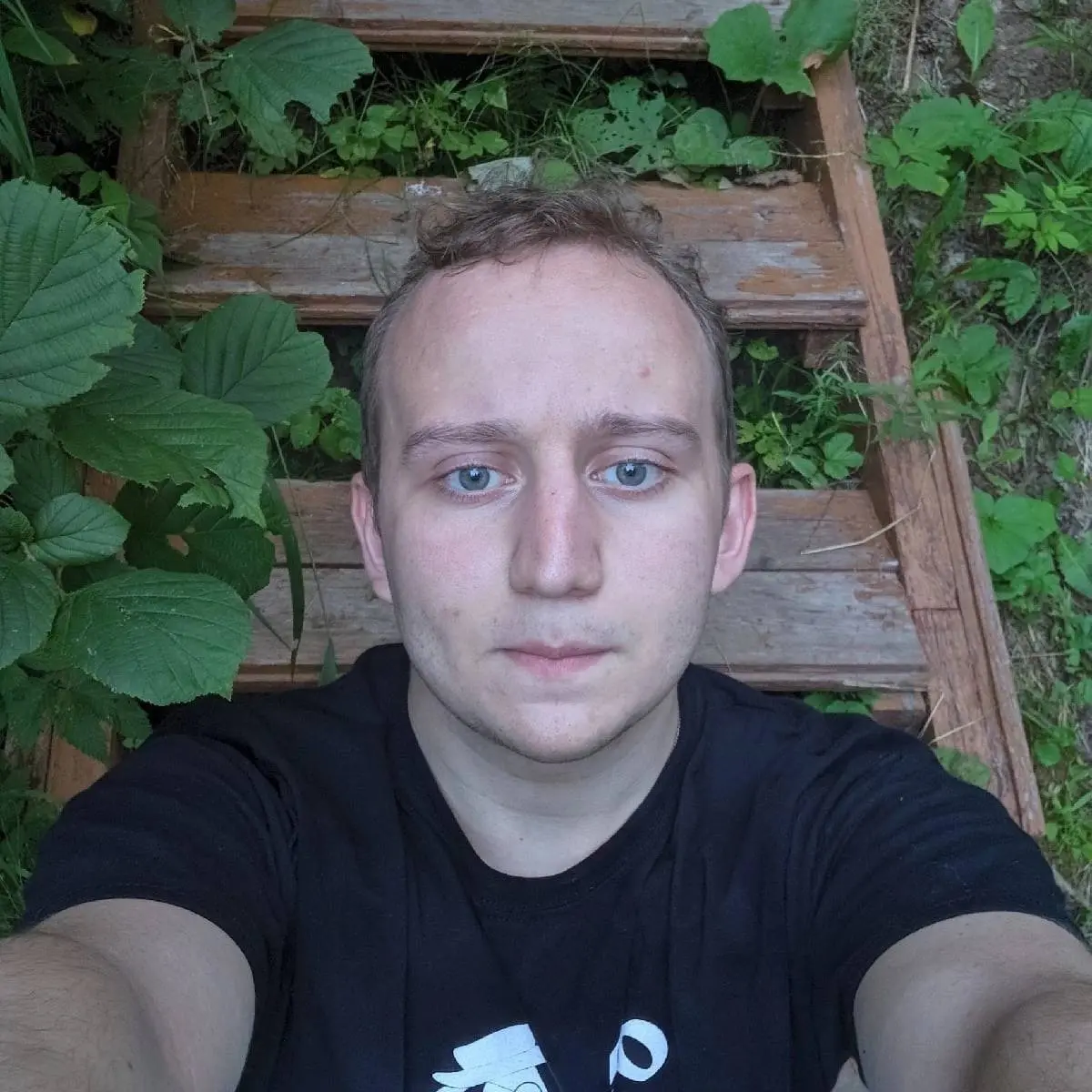 Дмитрий Новаковский