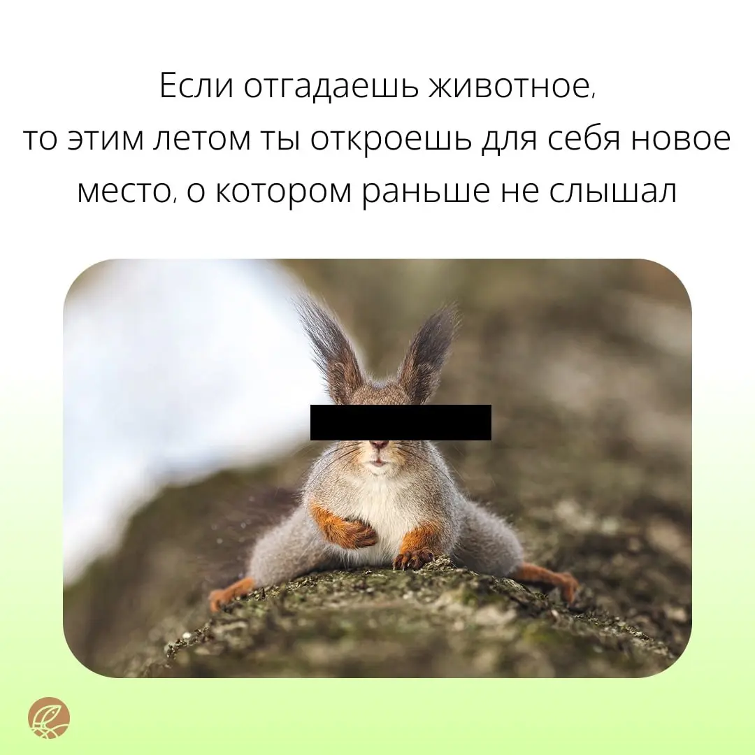Только самые отважные 🦁 справятся с нашими заданиями | Сетка — социальная сеть от hh.ru