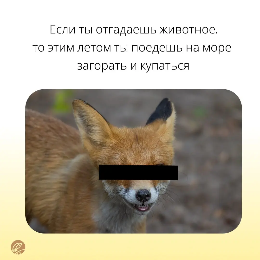 Только самые отважные 🦁 справятся с нашими заданиями | Сетка — социальная сеть от hh.ru