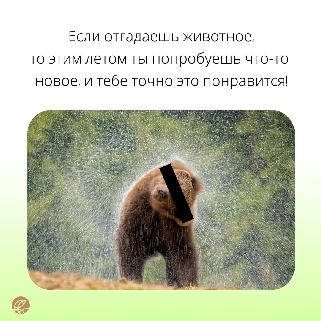 Только самые отважные 🦁 справятся с нашими заданиями | Сетка — социальная сеть от hh.ru