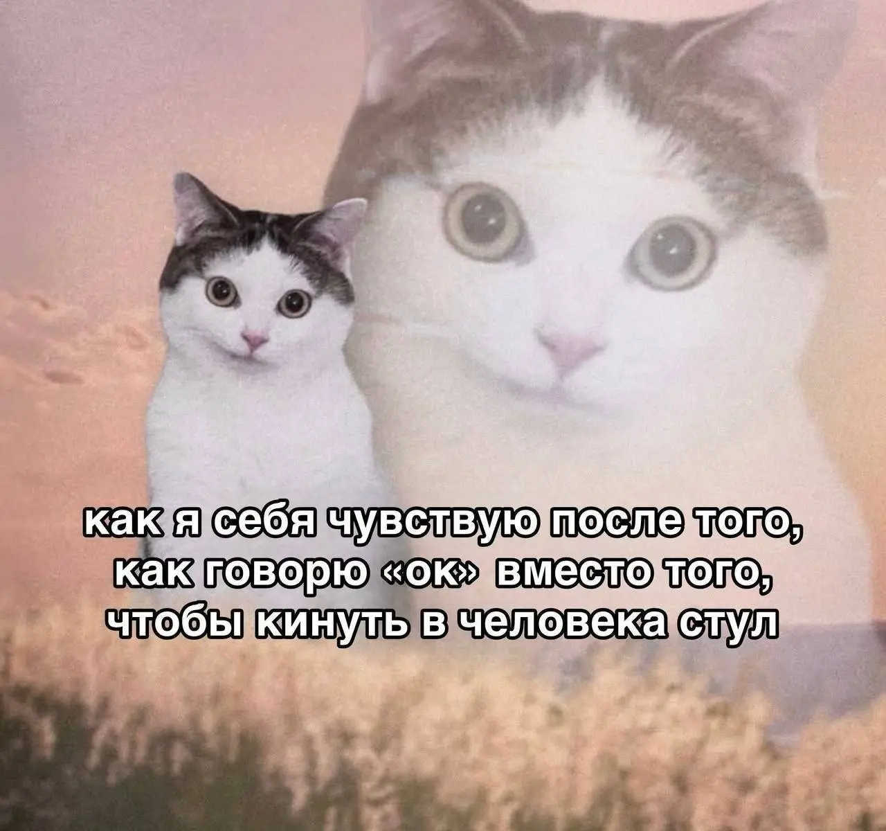 Четверговые #мемчики | Сетка — социальная сеть от hh.ru