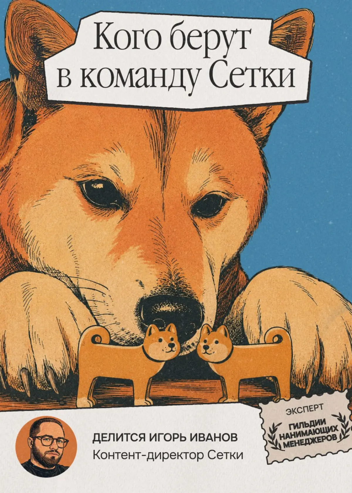 Что ищет в кандидатах контент-директор Сетки | Сетка — социальная сеть от hh.ru