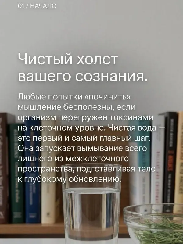 Чистое тело не только снаружи, но и изнутри = чистое сознание и ясные мозги, легкость в теле и прилив энергии | Сетка — социальная сеть от hh.ru