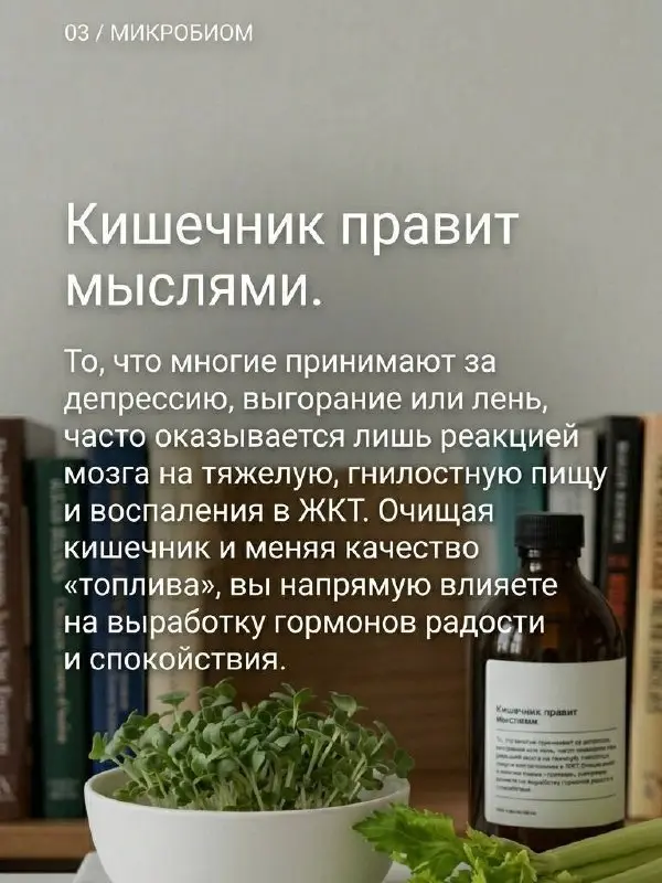 Чистое тело не только снаружи, но и изнутри = чистое сознание и ясные мозги, легкость в теле и прилив энергии | Сетка — социальная сеть от hh.ru