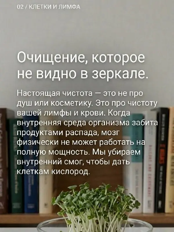 Чистое тело не только снаружи, но и изнутри = чистое сознание и ясные мозги, легкость в теле и прилив энергии | Сетка — социальная сеть от hh.ru