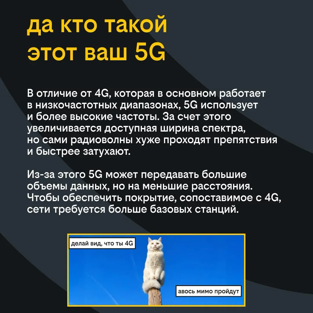 Коллеги, а что вы знаете о 5G? | Сетка — социальная сеть от hh.ru
