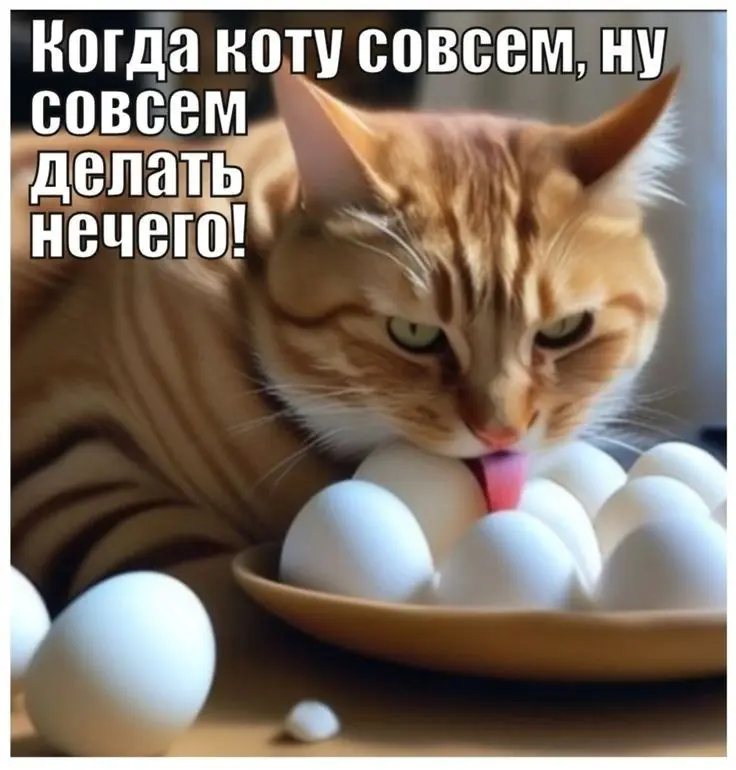 Чем больше читаю, тем больше ужасаюсь, сколько дармоедов | Сетка — социальная сеть от hh.ru