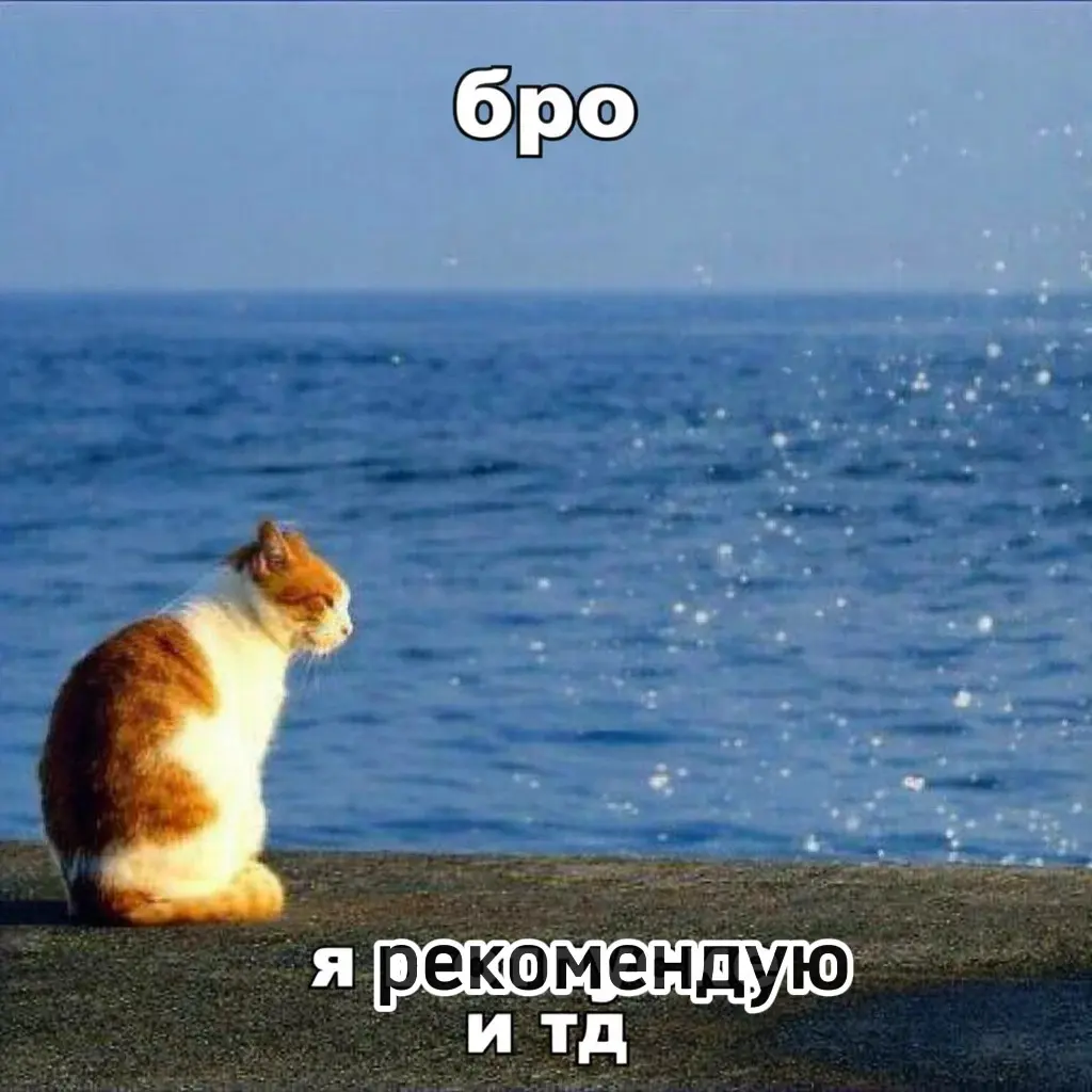 Смотри, кого нашла | Сетка — социальная сеть от hh.ru