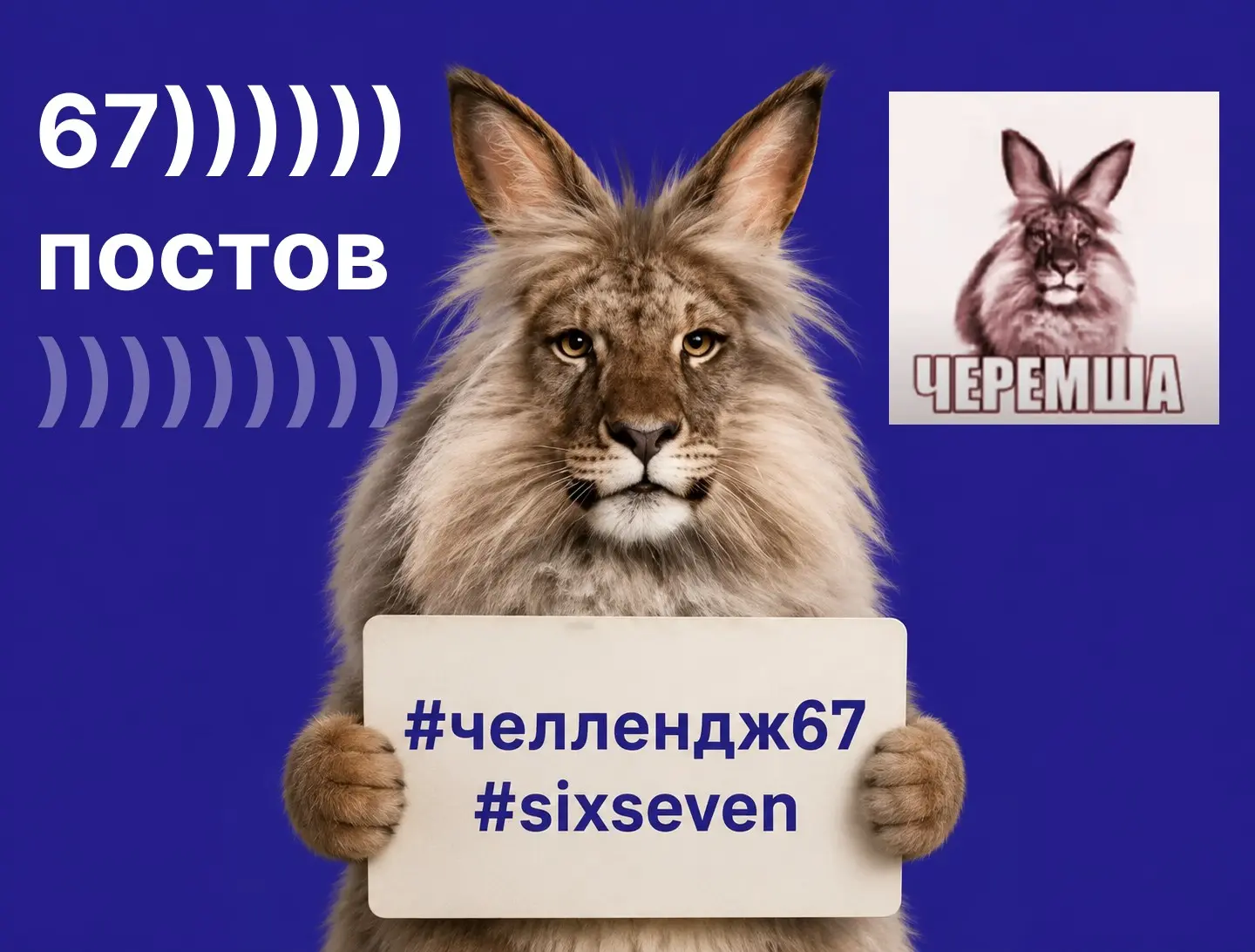 67 постов в течение 67 дней | Сетка — социальная сеть от hh.ru