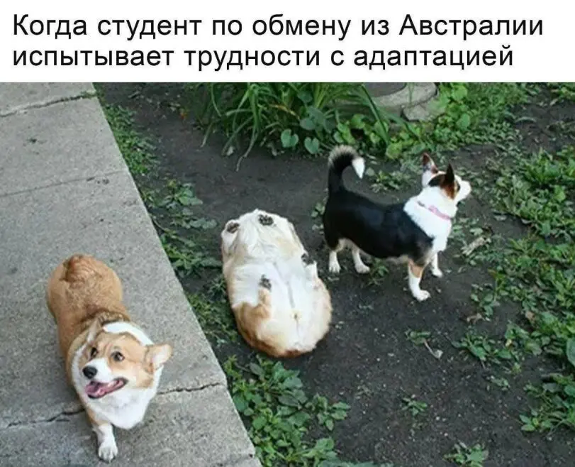 Попал в новую команду | Сетка — социальная сеть от hh.ru