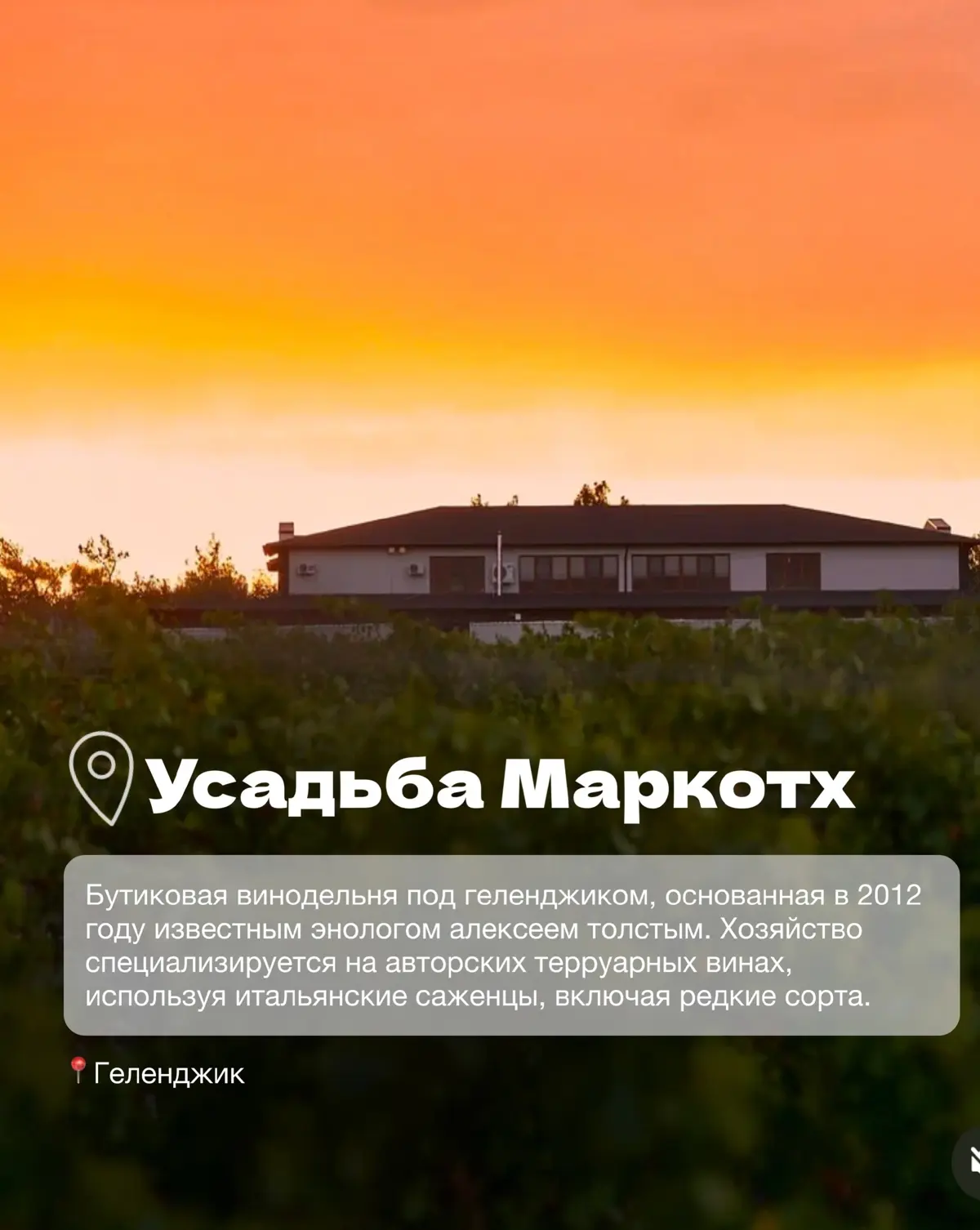 Винодельни Краснодарского края часть 2 | Сетка — социальная сеть от hh.ru