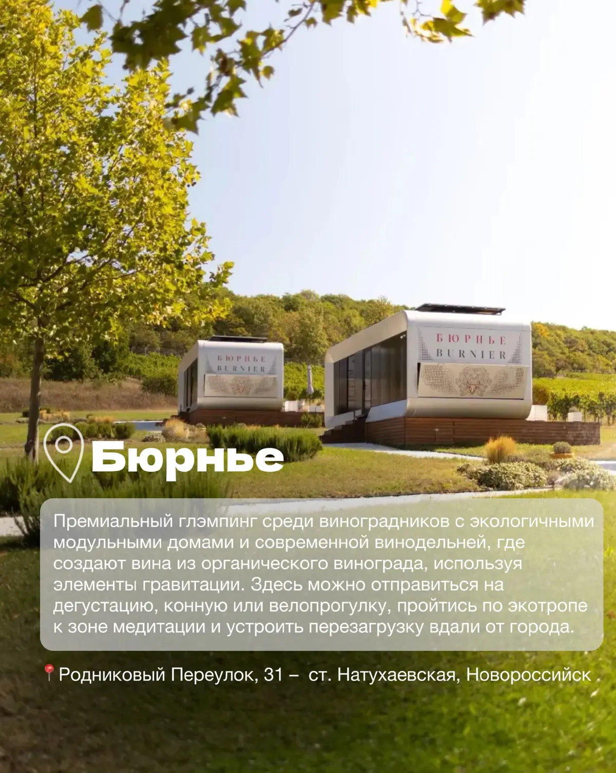 Винодельни Краснодарского края часть 2 | Сетка — социальная сеть от hh.ru