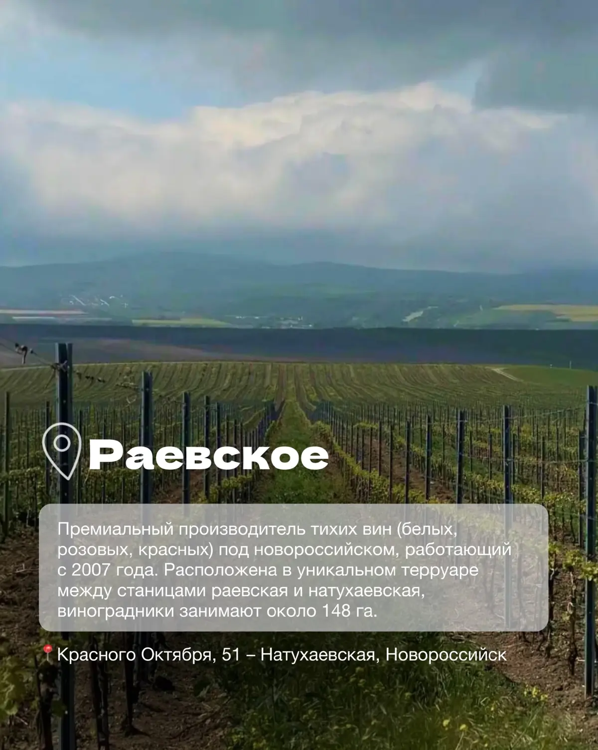 Винодельни Краснодарского края часть 2 | Сетка — социальная сеть от hh.ru
