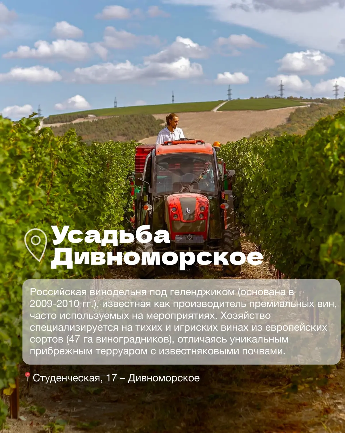 Винодельни Краснодарского края часть 2 | Сетка — социальная сеть от hh.ru