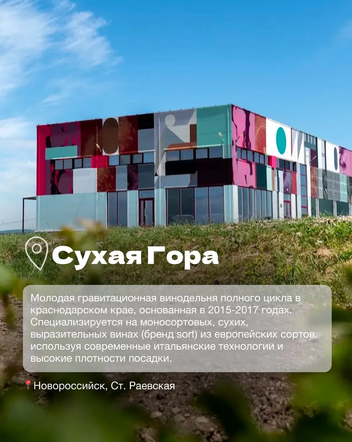 Винодельни Краснодарского края часть 2 | Сетка — социальная сеть от hh.ru