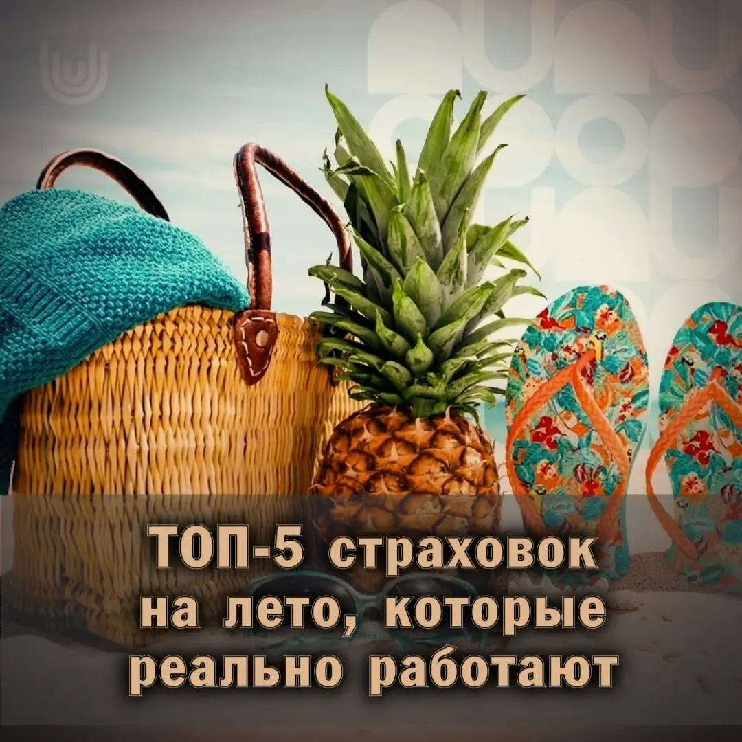 🌿 ТОП-5 страховок на лето, которые реально работают | Сетка — социальная сеть от hh.ru