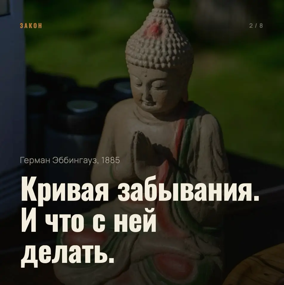 🤔 Интересный факт | Сетка — социальная сеть от hh.ru