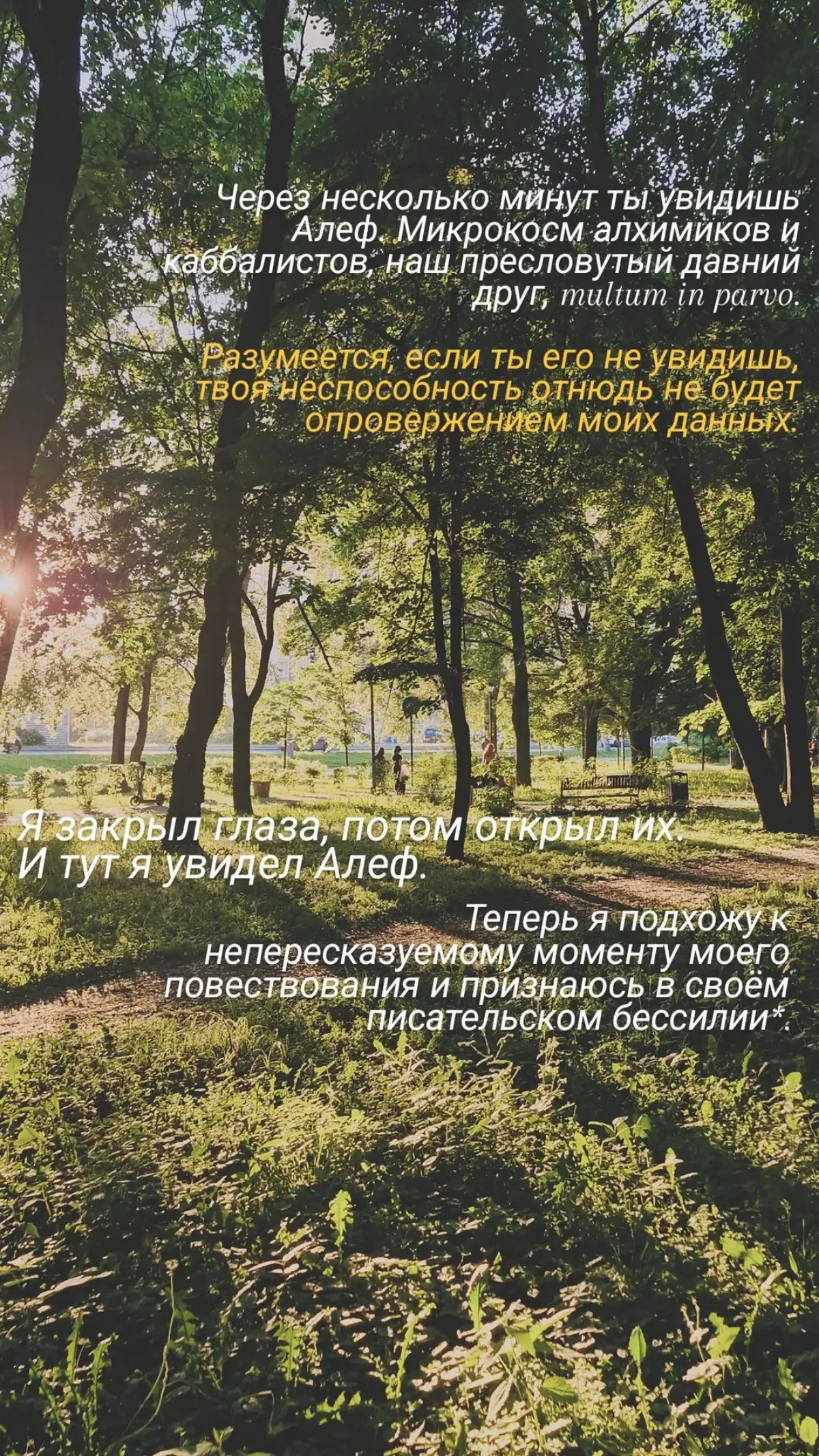 Борхес ❤️ | Сетка — социальная сеть от hh.ru