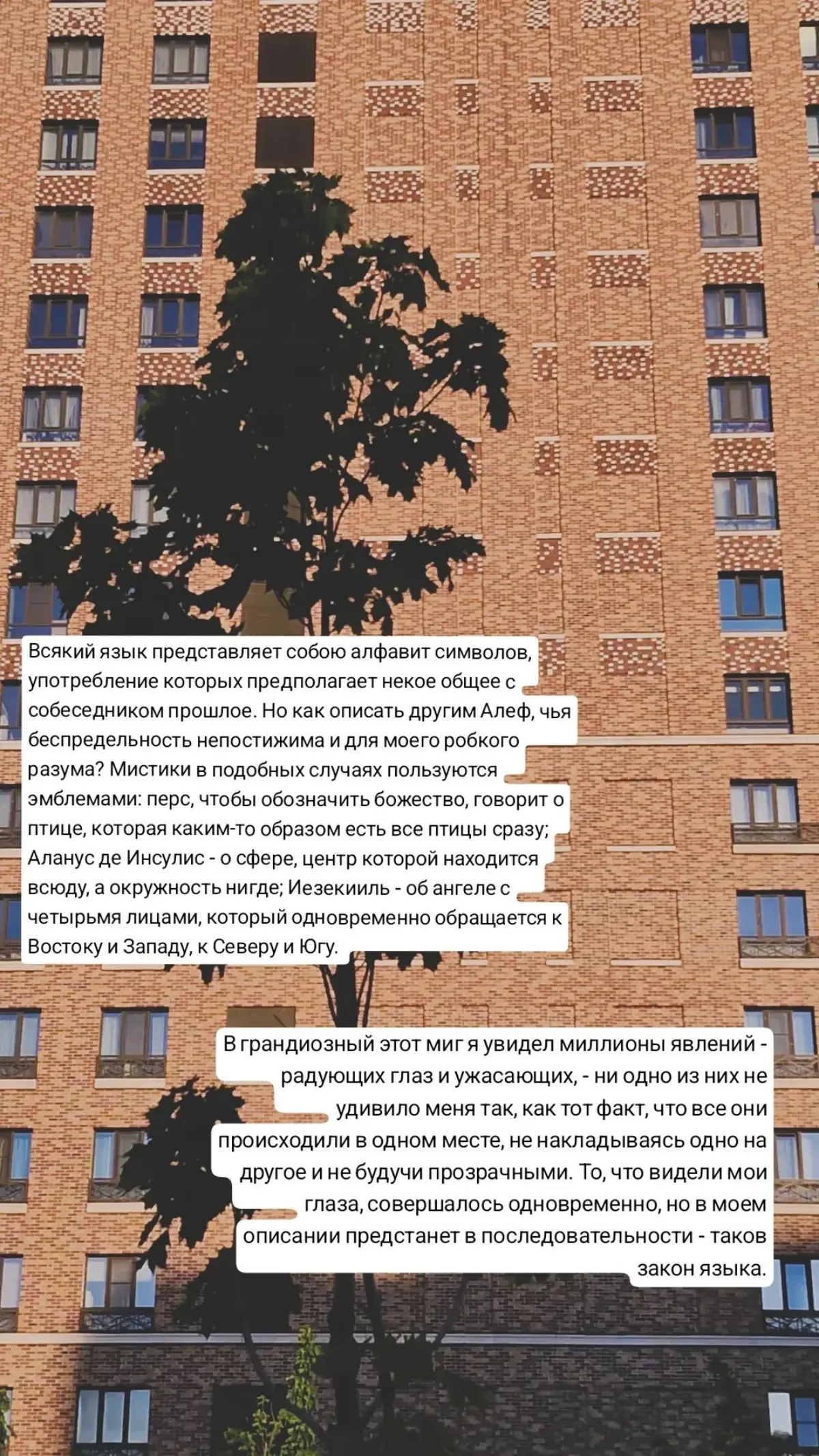 Борхес ❤️ | Сетка — социальная сеть от hh.ru