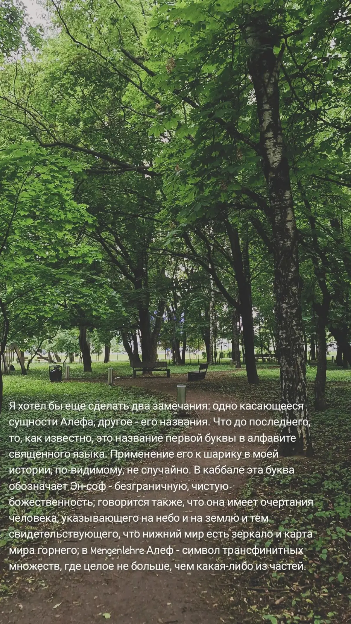 Борхес ❤️ | Сетка — социальная сеть от hh.ru