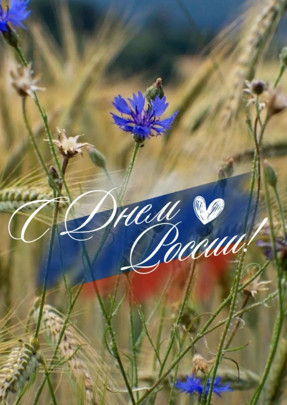 С Днём России, друзья! | Сетка — социальная сеть от hh.ru