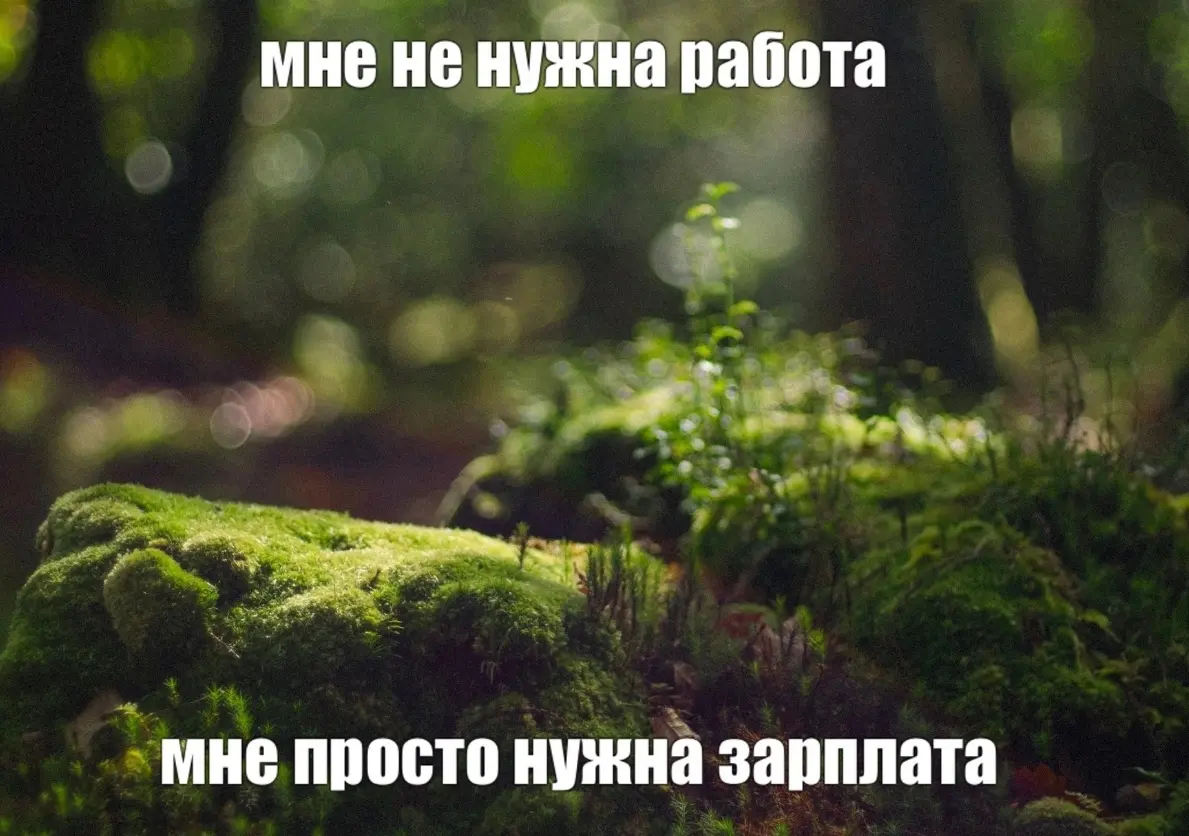 Реально, поймите уже | Сетка — социальная сеть от hh.ru