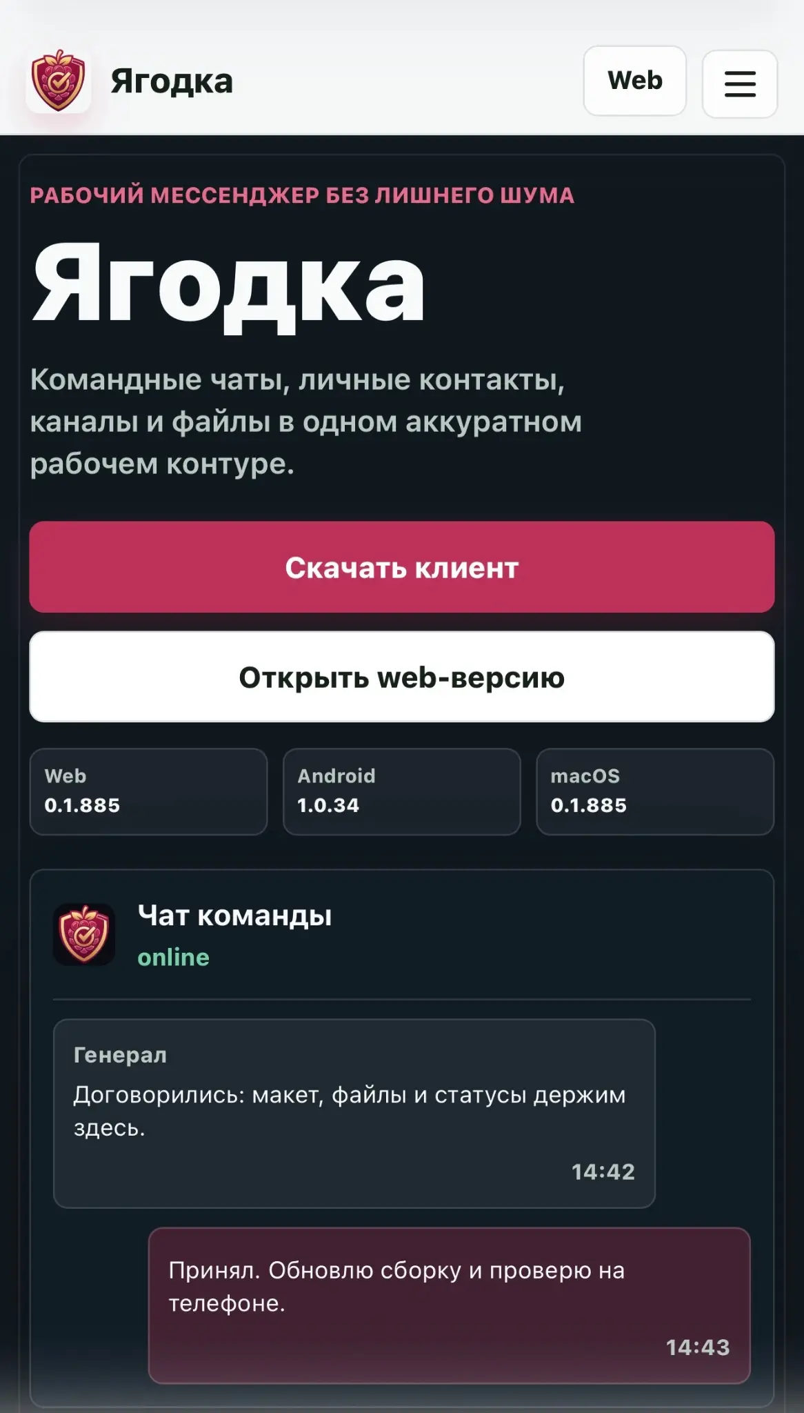 Мессенджер ягодка , как вам ? https://yagodka.org/ | Сетка — социальная сеть от hh.ru