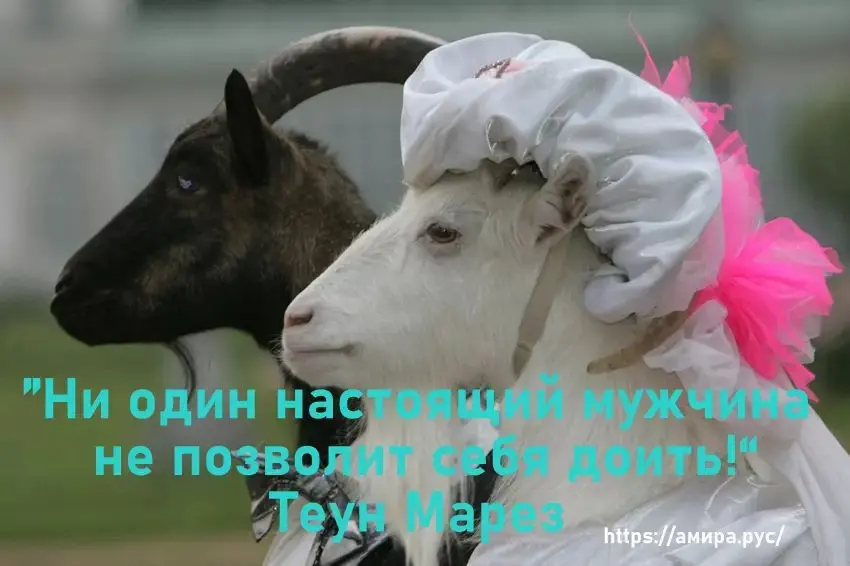 Гендерное | Сетка — социальная сеть от hh.ru