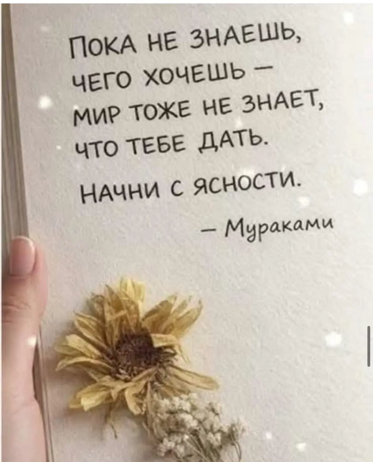 Ясность создает опору | Сетка — социальная сеть от hh.ru