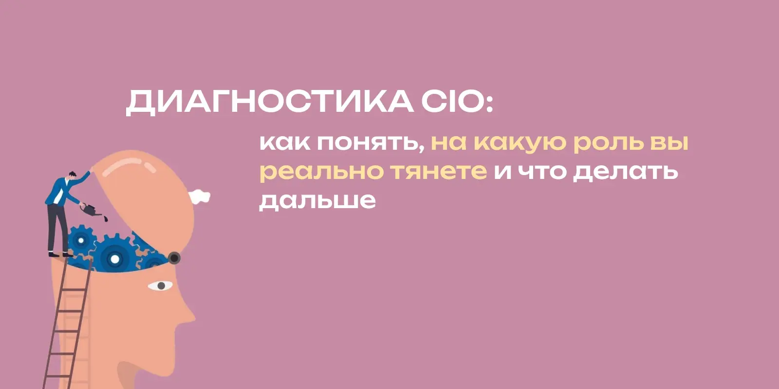 Почему сильные CIO не проходят собеседование? | Сетка — социальная сеть от hh.ru