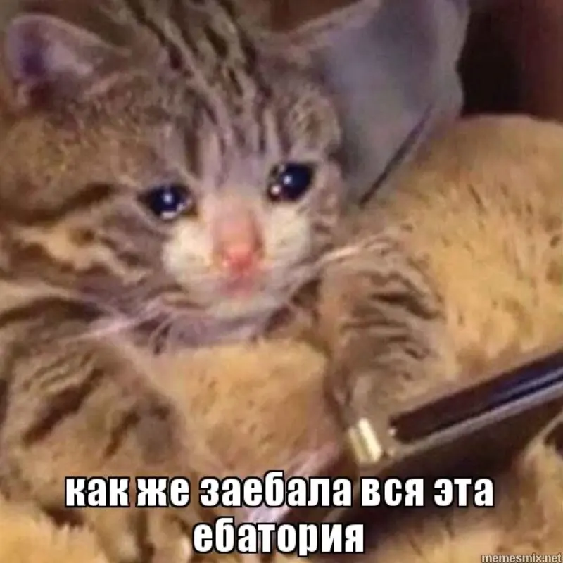 Александра Старшинова