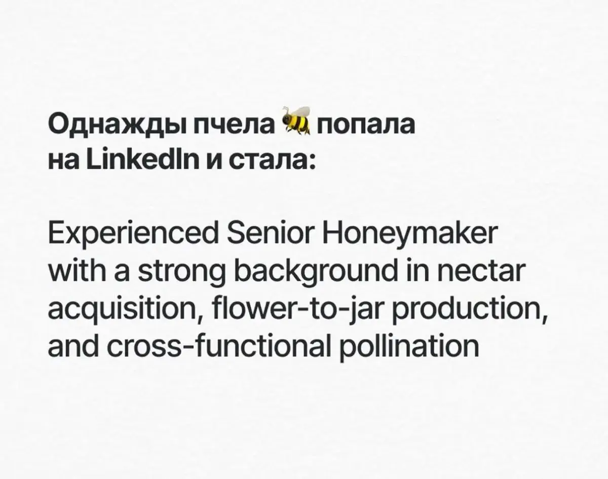Как корабль назовешь | Сетка — социальная сеть от hh.ru