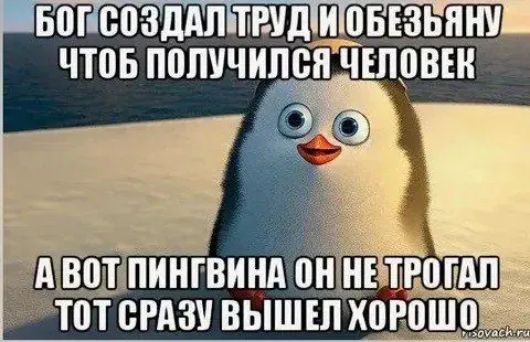 Люди-Птицы | Сетка — социальная сеть от hh.ru