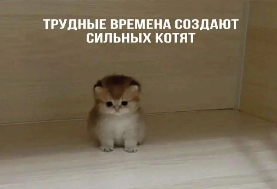 📉36% расходов ВПК в экономике, Набиуллина и CRM-маркетинг. Что будет дальше?
Я решил залезть в эту непростую тему, не холивара ради, а анализа для | Сетка — социальная сеть от hh.ru
