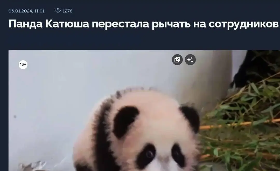 ... когда в бухгалтерии пообедали | Сетка — социальная сеть от hh.ru