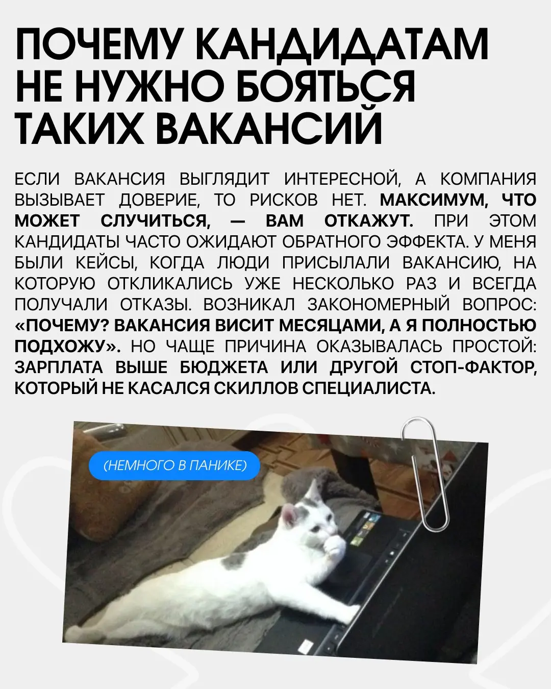 Вакансия висит месяцами, стоит ли откликаться? Часто вижу посты на тему того, что долгий поиск — обязательный редфлаг, но это не так. Причин, почему так происходит, может быть тысячи | Сетка — социальная сеть от hh.ru