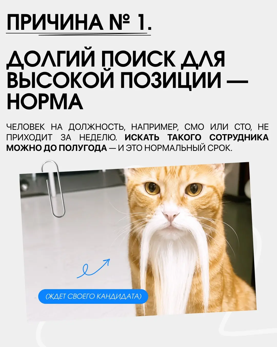 Вакансия висит месяцами, стоит ли откликаться? Часто вижу посты на тему того, что долгий поиск — обязательный редфлаг, но это не так. Причин, почему так происходит, может быть тысячи | Сетка — социальная сеть от hh.ru