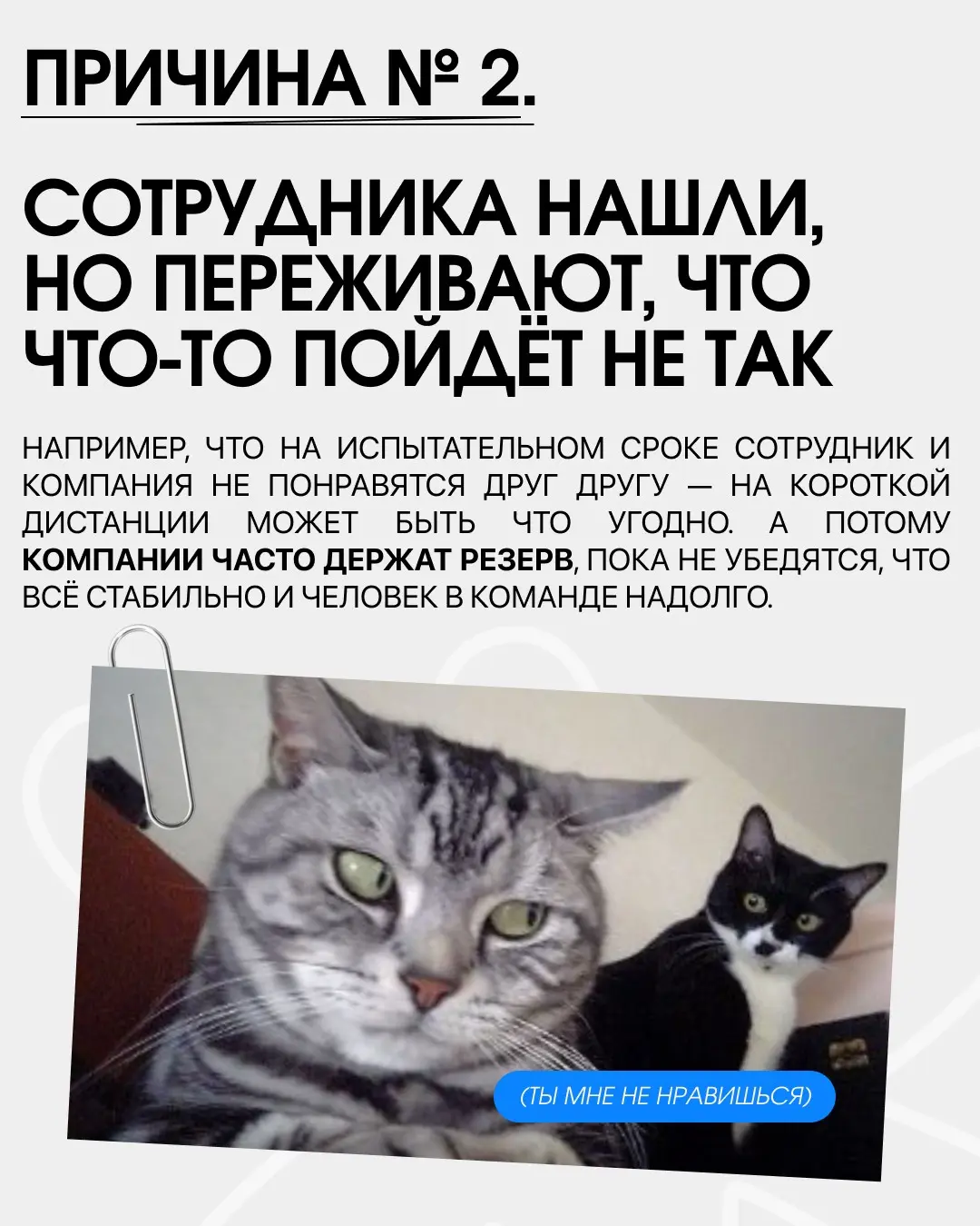 Вакансия висит месяцами, стоит ли откликаться? Часто вижу посты на тему того, что долгий поиск — обязательный редфлаг, но это не так. Причин, почему так происходит, может быть тысячи | Сетка — социальная сеть от hh.ru