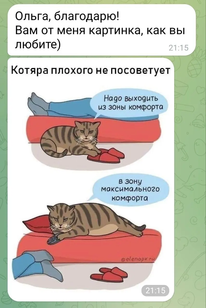 От любимого клиента в ответ на МАК карту 😍
#Коты | Сетка — социальная сеть от hh.ru