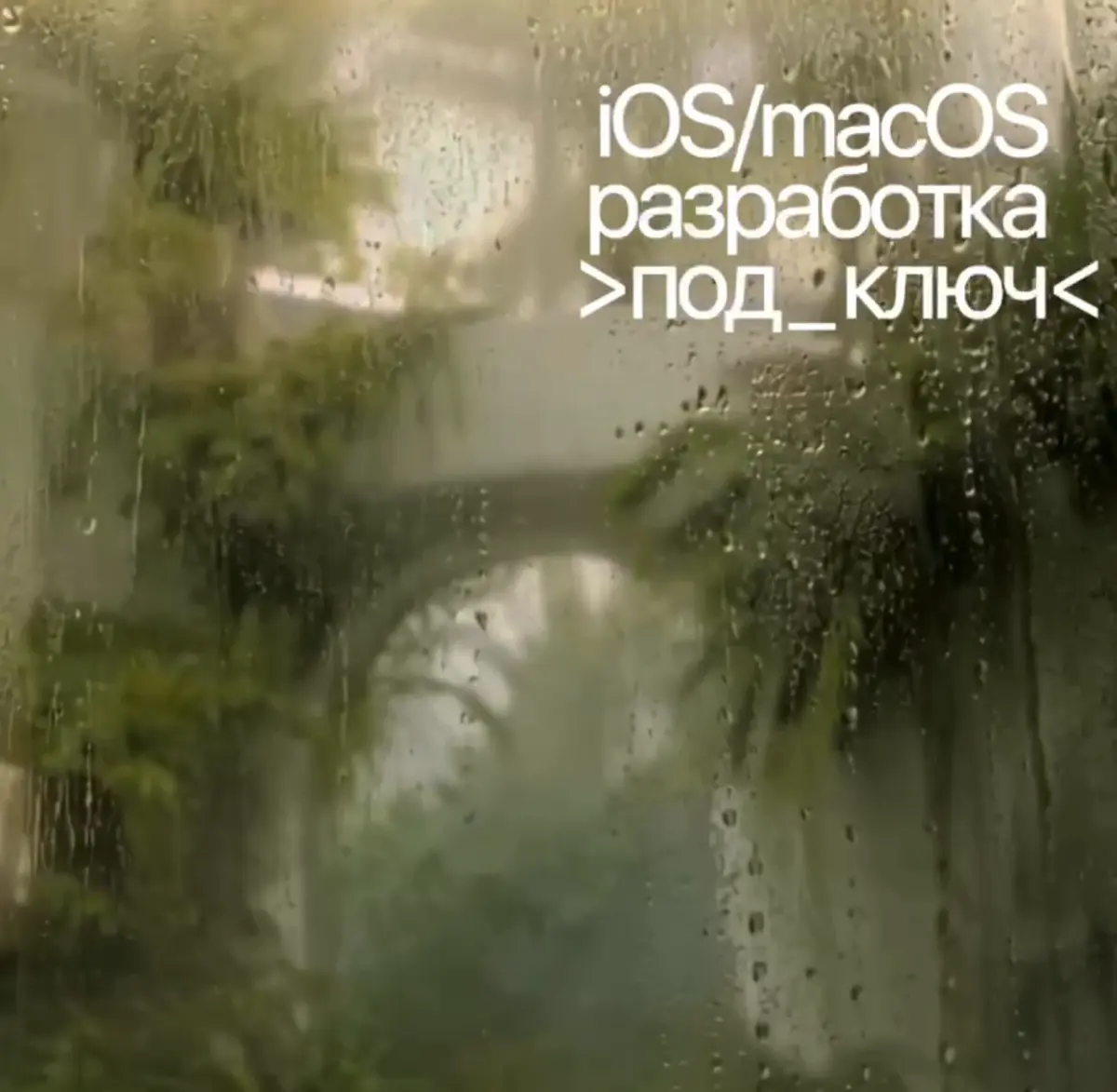 iOS и macOS-приложения | Сетка — социальная сеть от hh.ru
