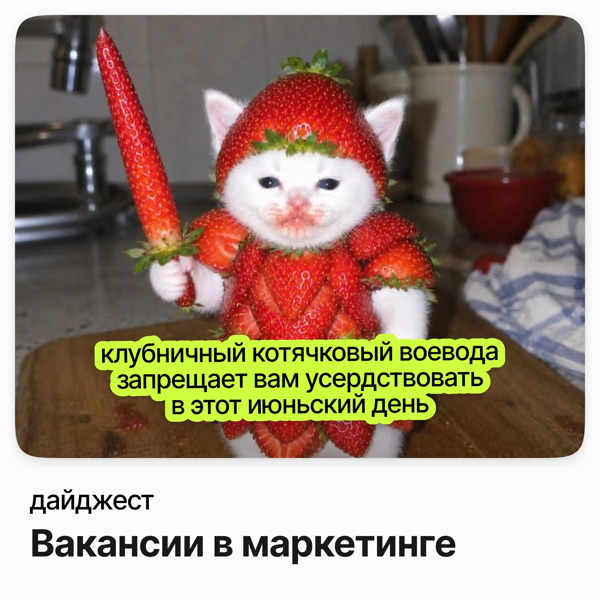 💼💼💼Маркетинг: позиции с зарплатой до 320 000 ₽
Руководитель направления по снижению оттока / Альфа-Банк
Зарплата: от 194 000 до 320 000 ₽
Подробнее
Руководитель департамента бренд-медиа / MEGAPOLIS ME... | Сетка — социальная сеть от hh.ru