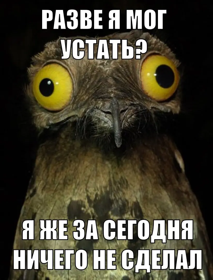 Про лень и усталость... | Сетка — социальная сеть от hh.ru