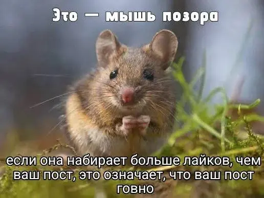 Психиатрия и/или работодатель | Сетка — социальная сеть от hh.ru