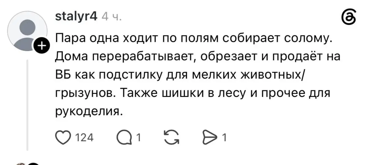 В соцсетях собрали целый тред с самыми безумными бизнесами, которые, к удивлению, приносят хорошую прибыль | Сетка — социальная сеть от hh.ru