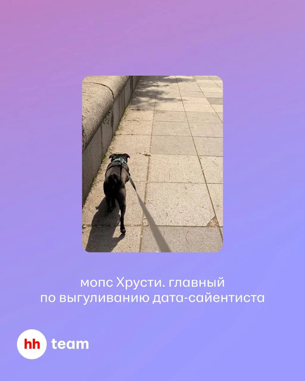 Знакомьтесь, это Стас Яркин #hhпрофайлы. Он отвечает за то, чтобы в приложении hh.ru вам попадалась именно та релевантная подборка вакансий, которую хочется открыть | Сетка — социальная сеть от hh.ru