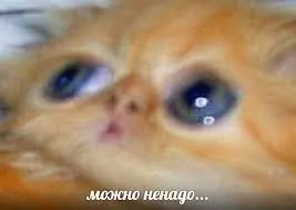 Где тебя трогал твой руководитель? / Готовим гайд "можно, не надо?"
Мы c Александром Клименко готовим гайд про критерии некомпетентности руководителей и способы противостояния таковым | Сетка — социальная сеть от hh.ru