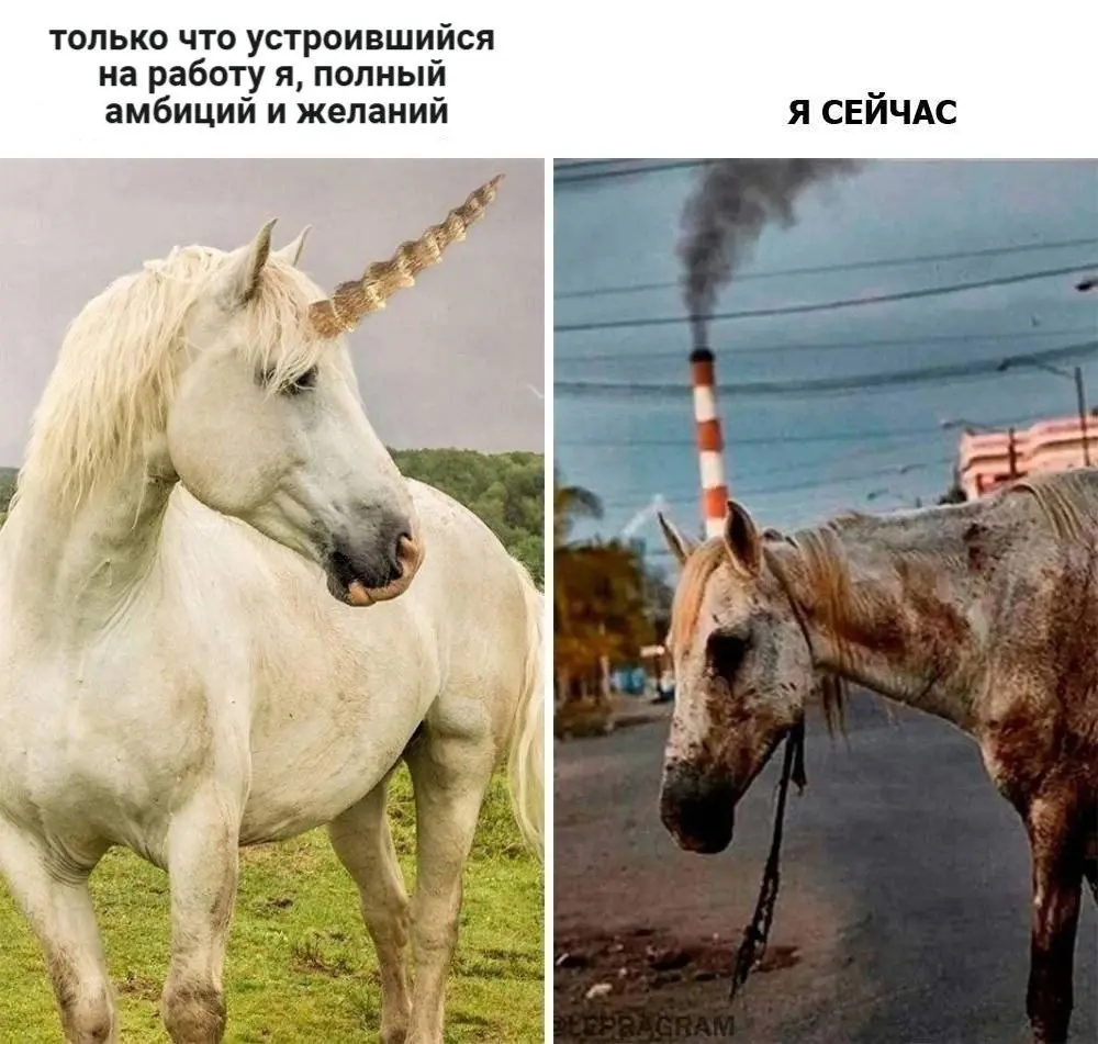 ЧТО ВАЖНЕЕ: БЕЖАТЬ ОТ ПЛОХОЙ РАБОТЫ ИЛИ ИДТИ К ХОРОШЕЙ? | Сетка — социальная сеть от hh.ru