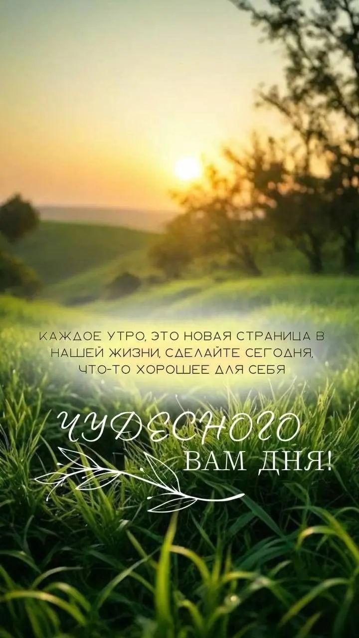 КЕЙС
Хочу рассказать вам про Елену | Сетка — социальная сеть от hh.ru