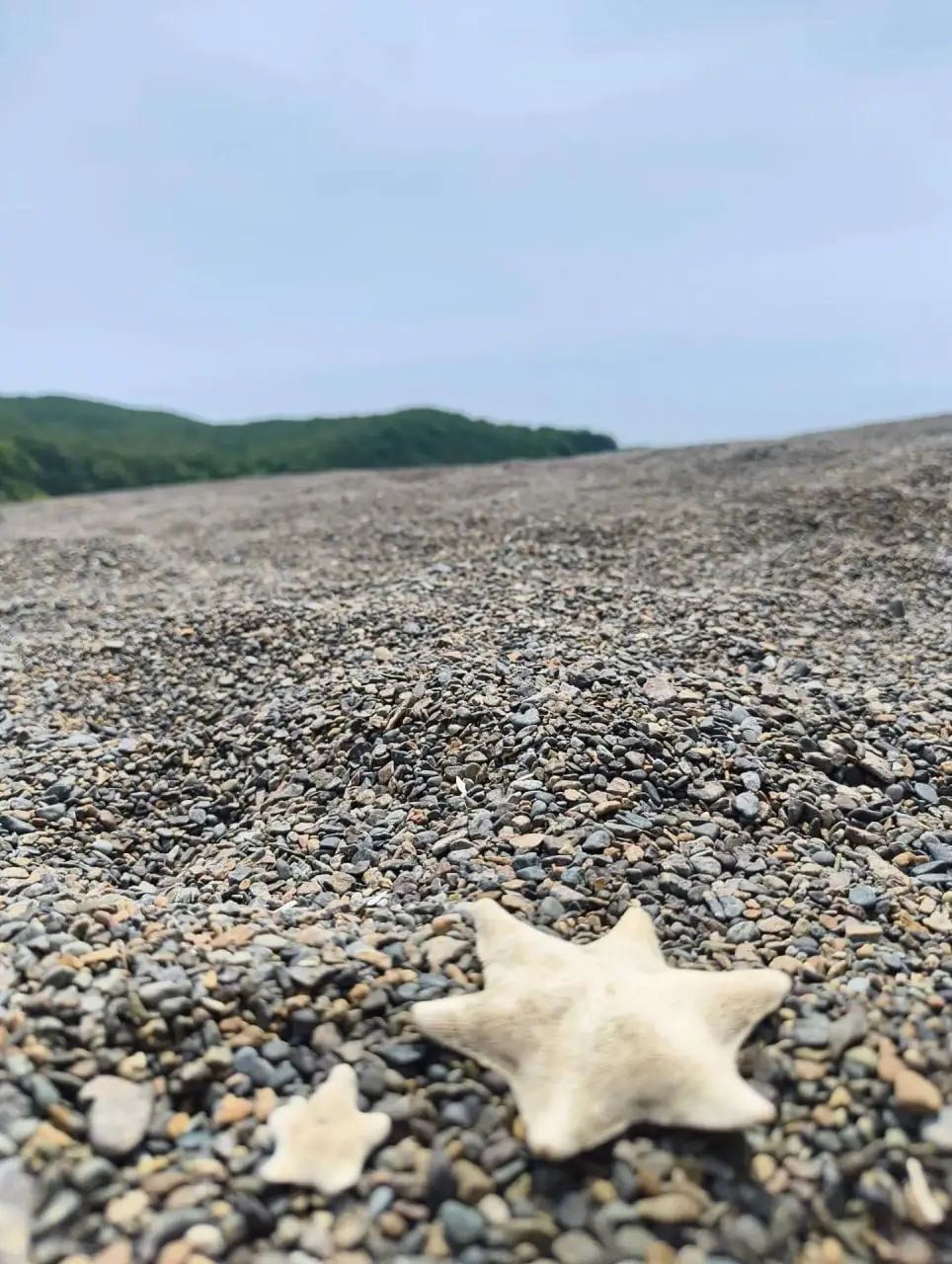 🏖 Признавайтесь, уже отдыхаете официально или делаете вид, что работаете?
Прошлым летом вы делились интересными местами и летними фотографиями. Было залипательно, мы рассматривали эти фото до зимы | Сетка — социальная сеть от hh.ru