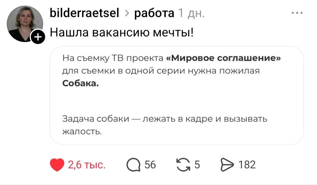 Заманчивое предложение🎬 | Сетка — социальная сеть от hh.ru